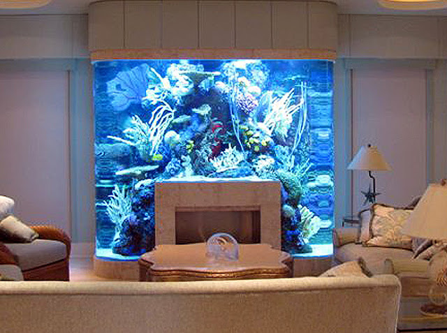 Unusual outlet fish tanks